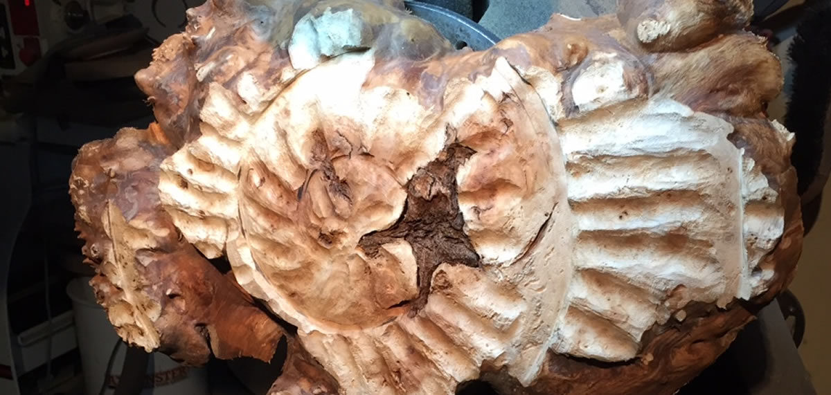 Fossil wall sculpture with a sabre burr. Kate Barnard
