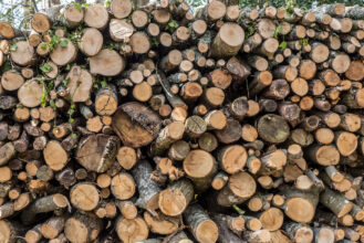 Chestnut wood pile
