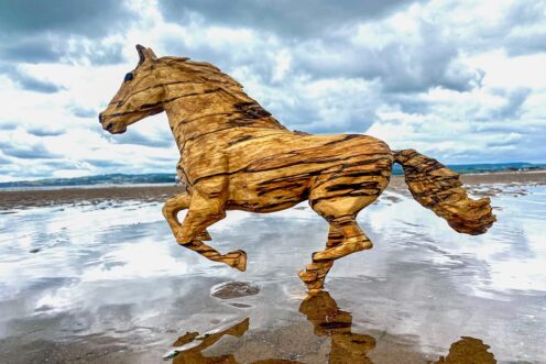 Brendan Rawlings - Horse