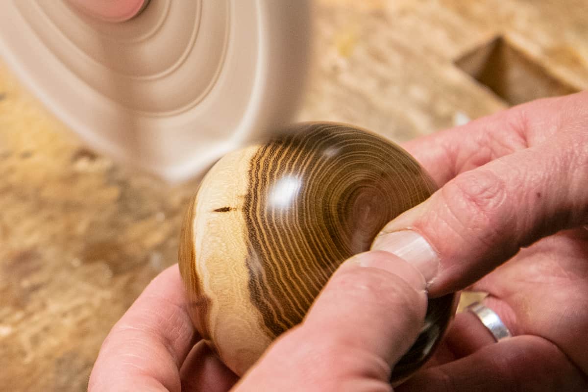 Polishing mop