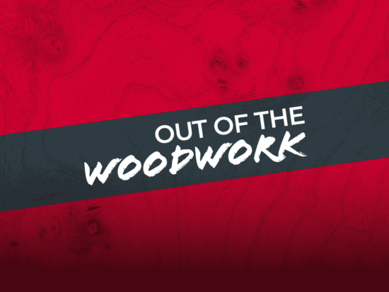 Out of the Woodwork Video Series - All episodes (2026)